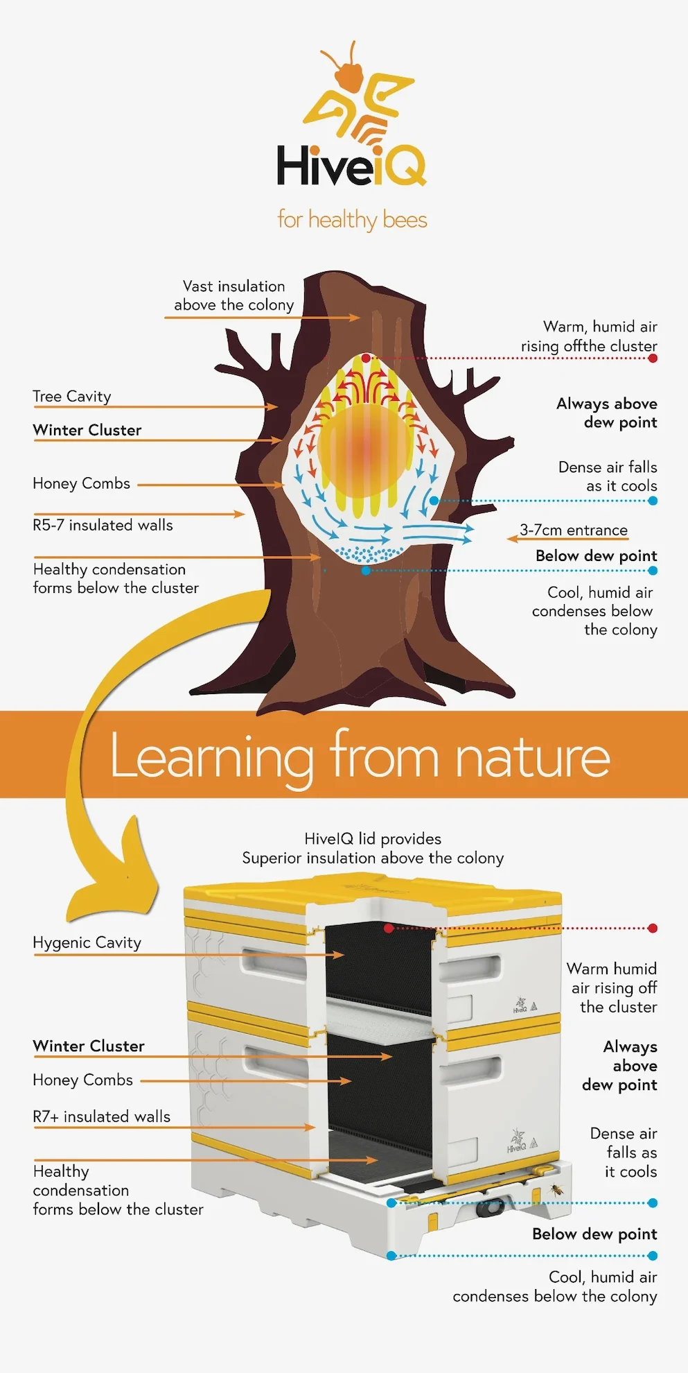 Learning from nature beekeeping infographic from HiveIQ